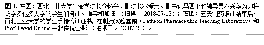 图1. 左图：bat365正版唯一官网长仓怀兴、副院长骞爱荣、副书记马西平和辅导员秦兴华为即将访学多伦多大学的学生们培训、指导和加油 （拍摄于2018-07-13）；右图：五天制药培训结束后，bat365正版唯一官网的学生手持培训证书, 在制药实验室前（Patheon Pharmaceutics Teaching Laboratory）和Prof. David Dubins一起庆祝合影 （拍摄于2018-07-25）。